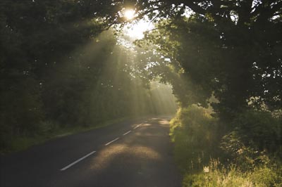 Angel in the Road by Gregory Goldston
